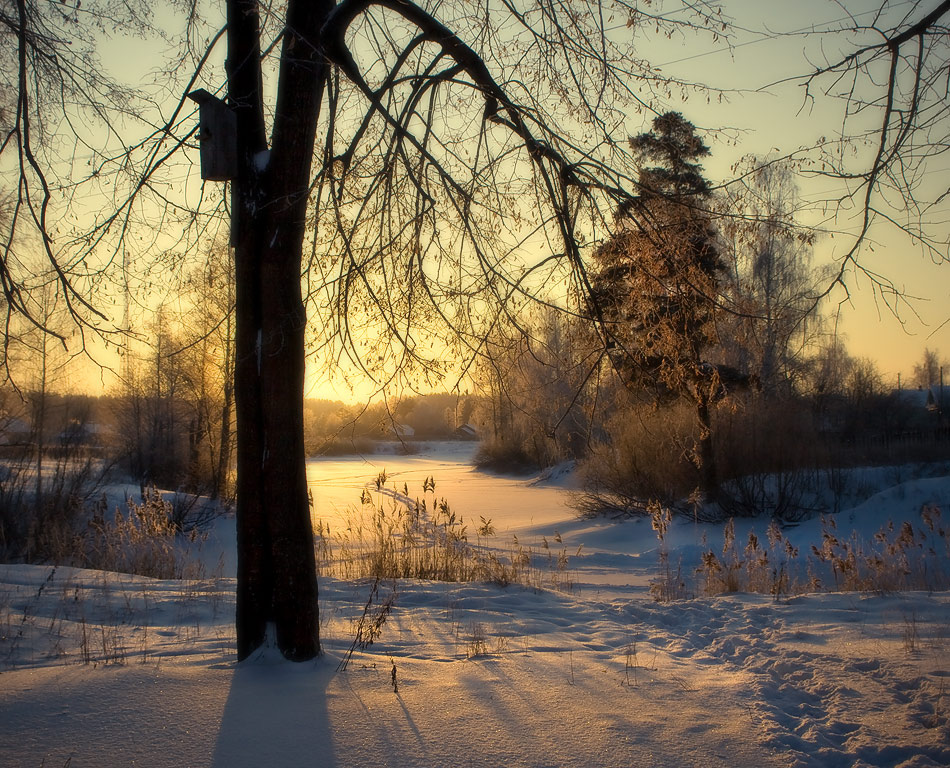 В ожидании весны