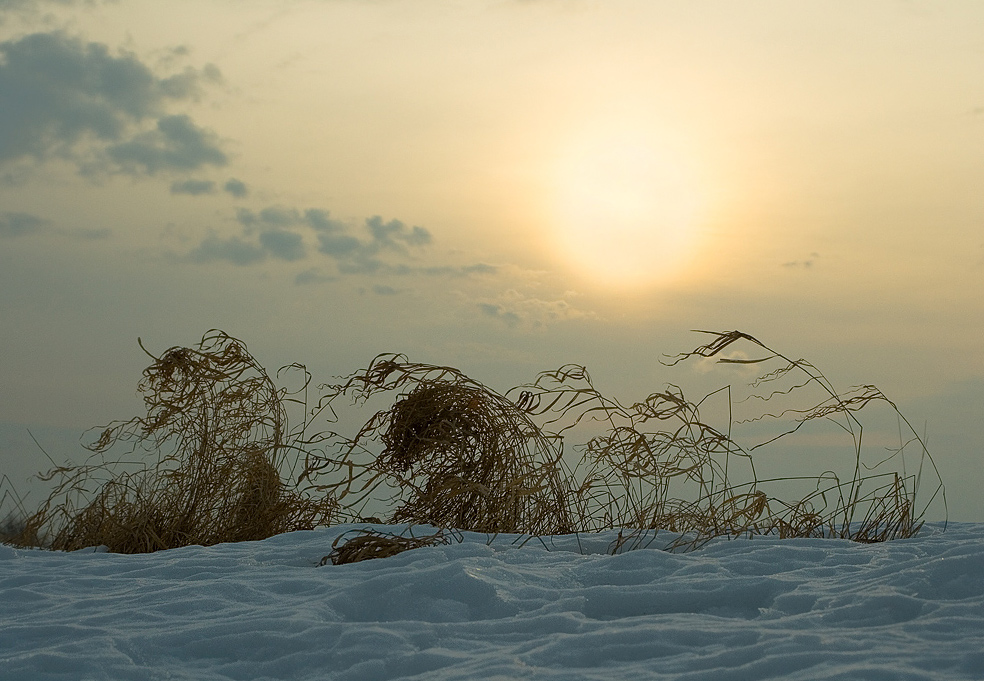 Утренний ветерок