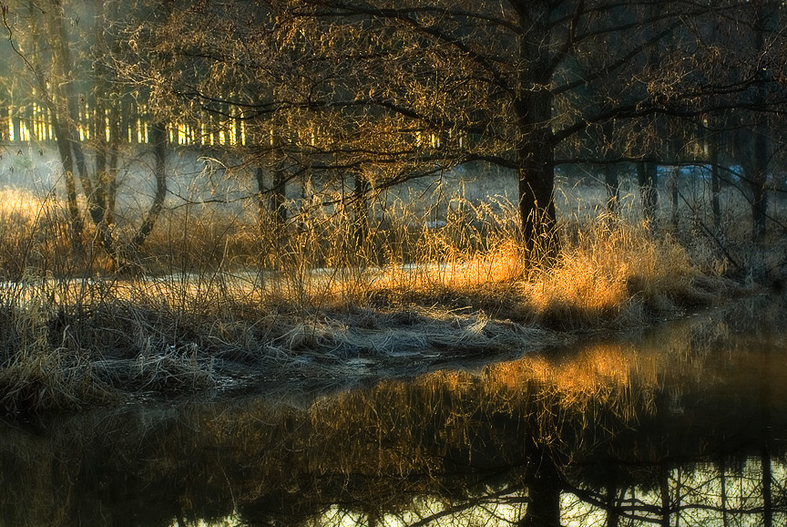 Первые лучи