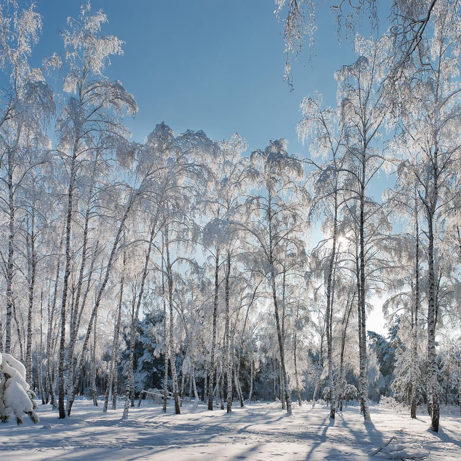 С НОВЫМ ГОДОМ!