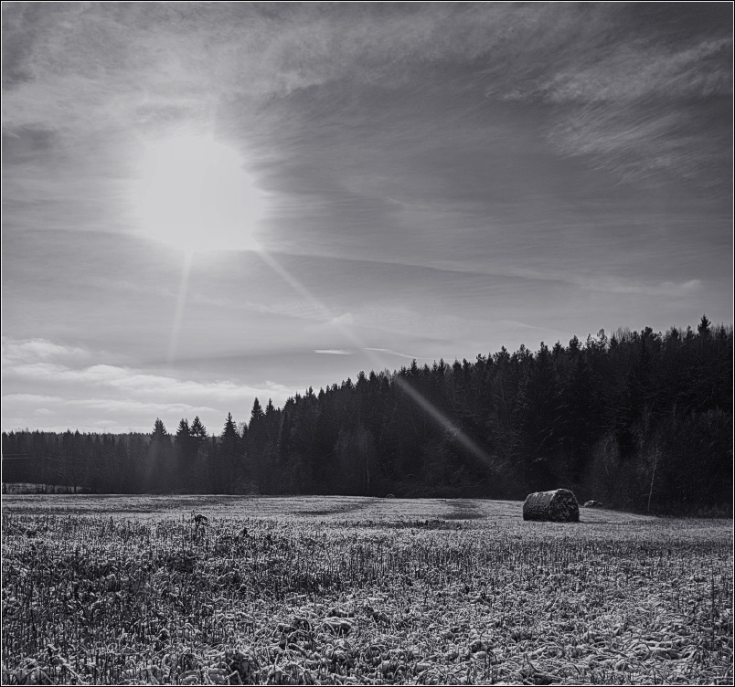 / Место под солнцем /