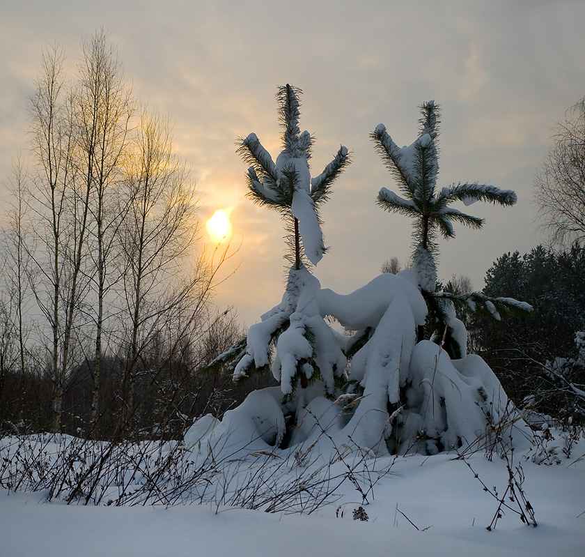 Танго для двоих