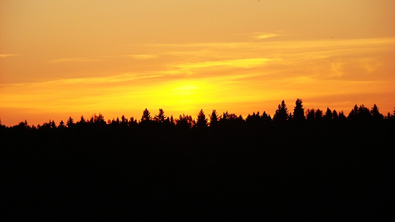 На исходе дня