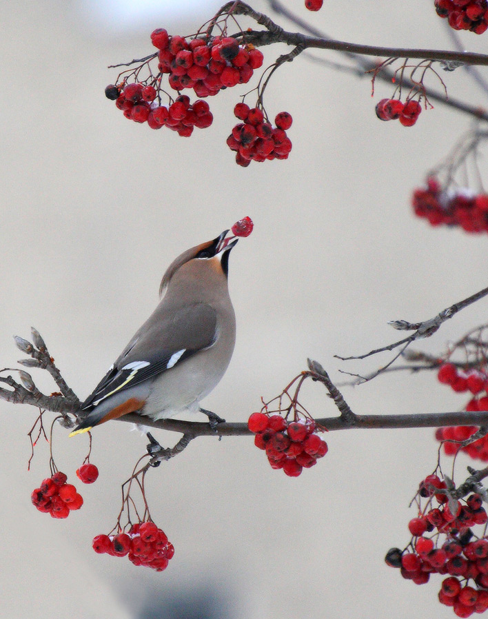 о том, что вертелось на языке