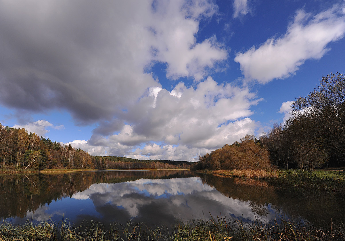 Лесное озеро