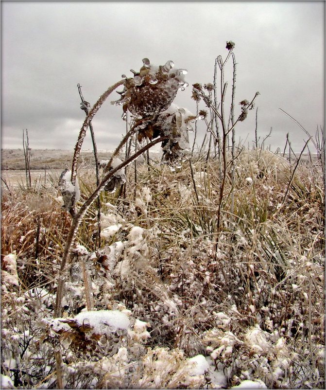 алмазы Техаса