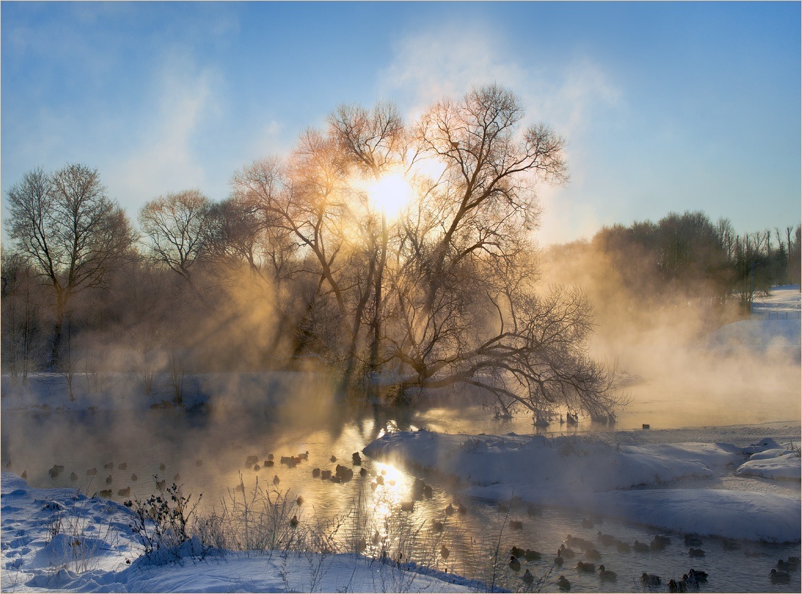 Утреняя феерия...