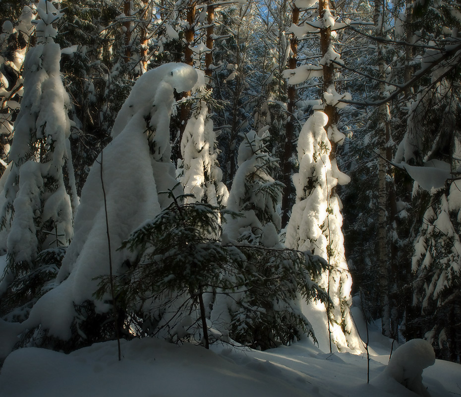 Пленницы зимнего леса