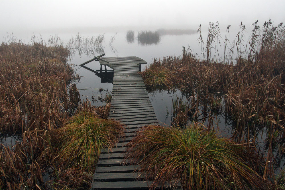 про холодный туман и скользкие мостки