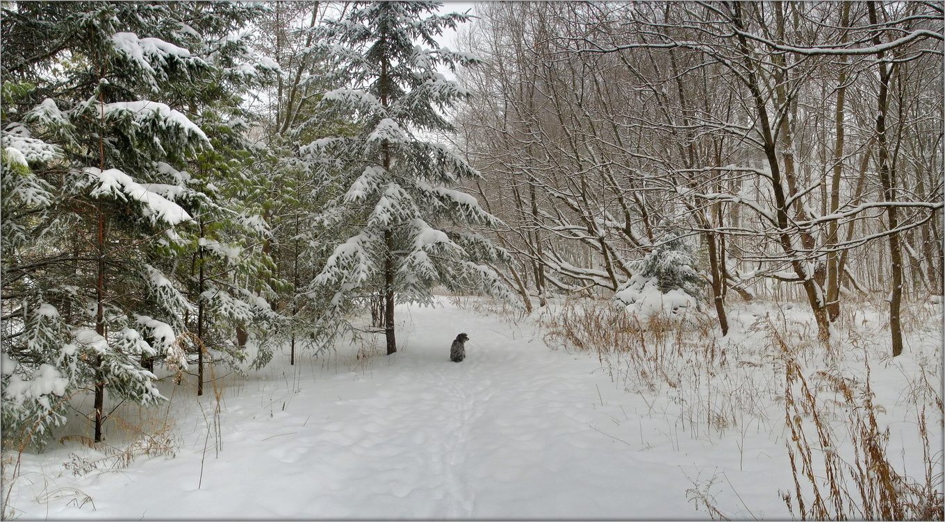 а по субботам всё снегопады...