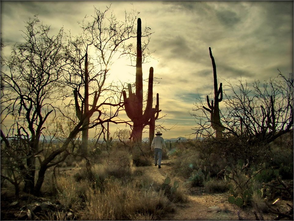 хозяин своего леса