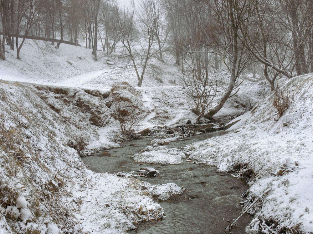 Городничанка