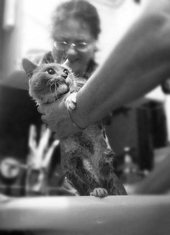 Oder vielleicht auch nicht nötig?