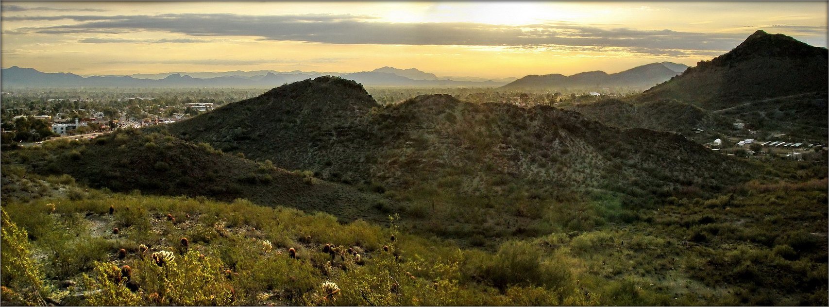 утро Феникса