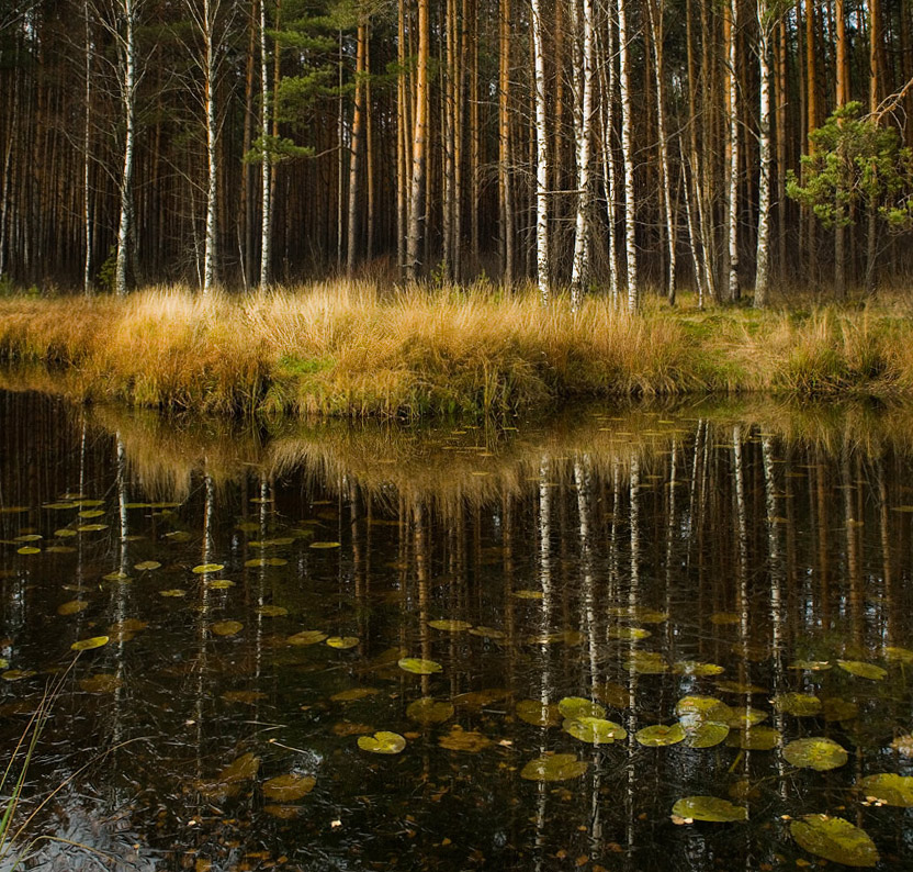 Поздняя осень