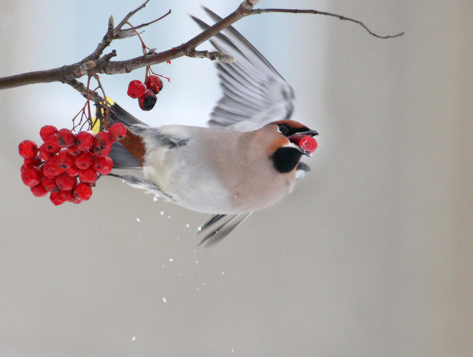 ухожу в отрыв