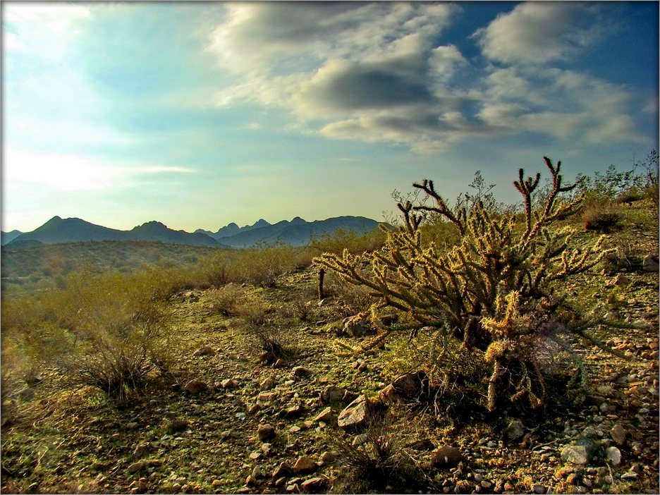 в краю суровой жары