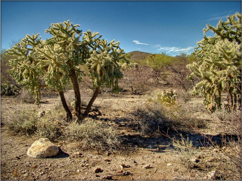 край суровой жары ..2