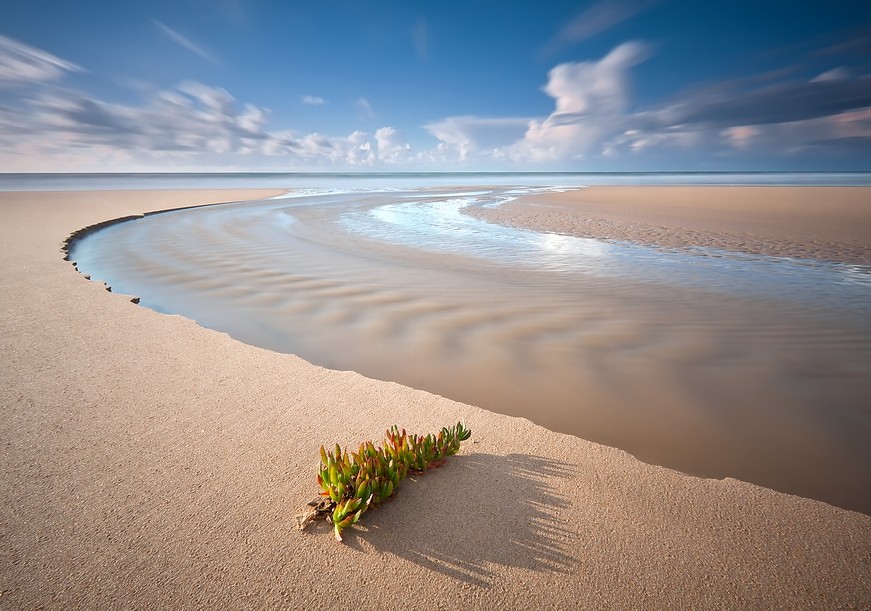 В ожидании весны.