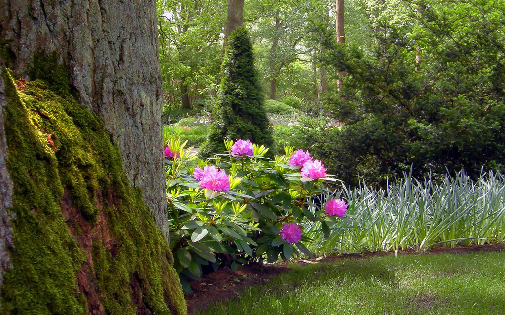 солнечный день