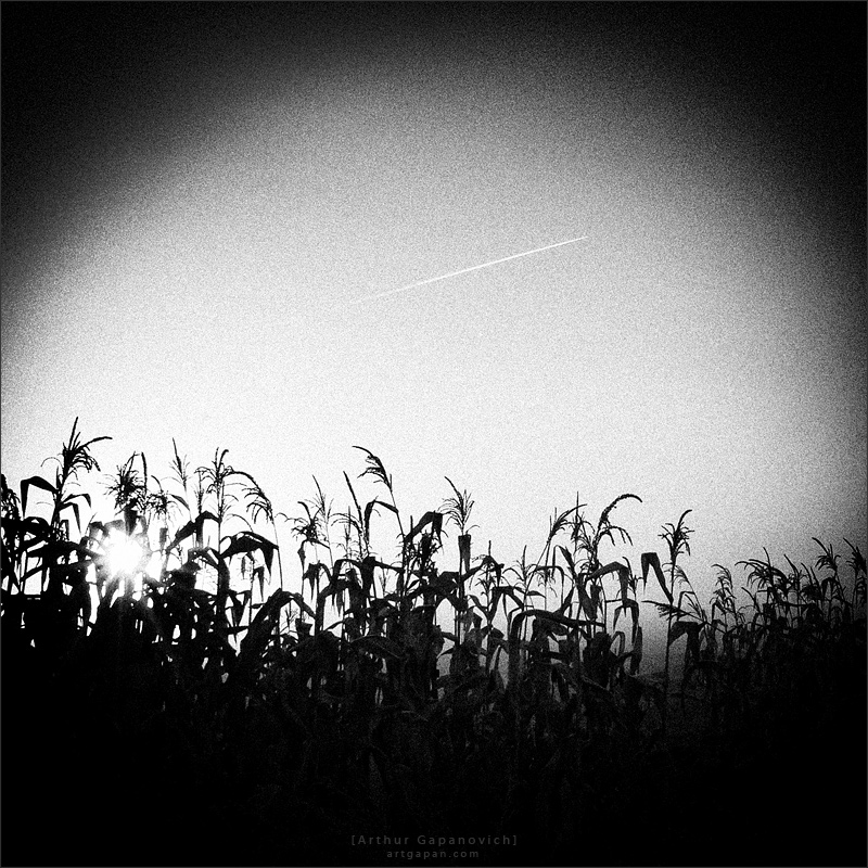 [ A S P I R A T I O N ]