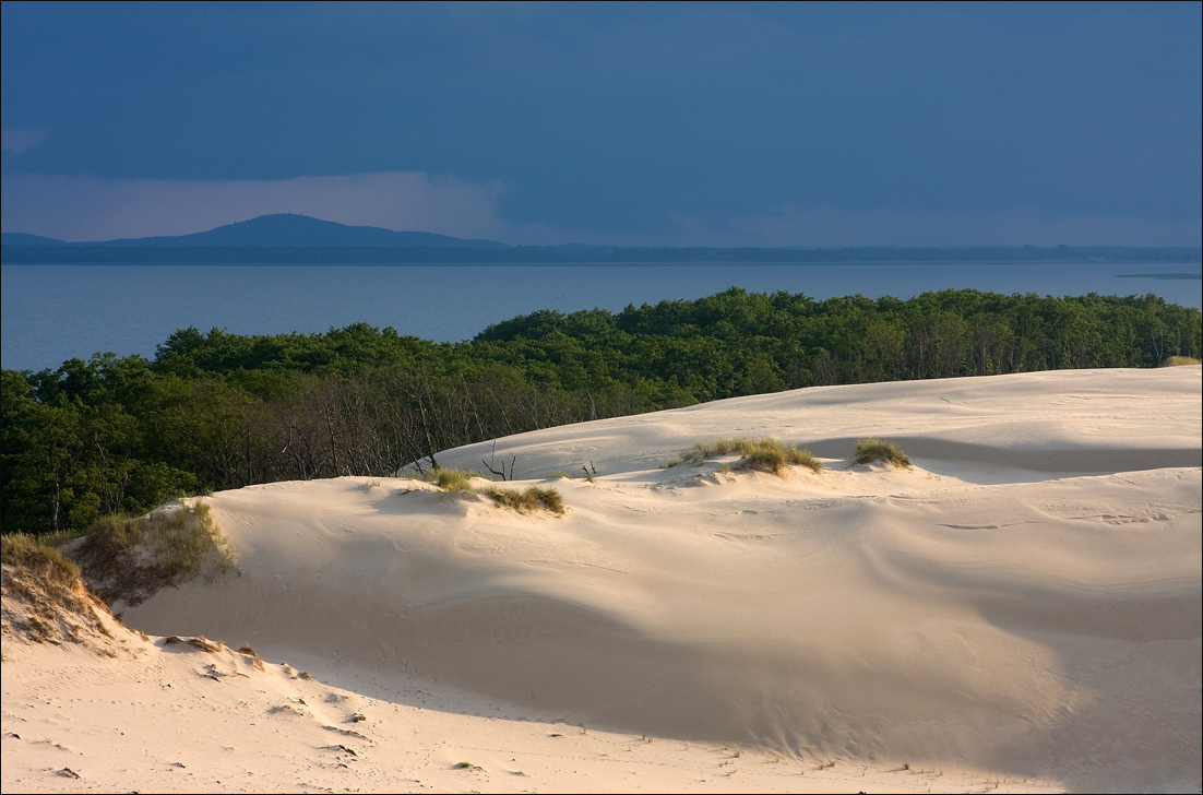 Запах грозы