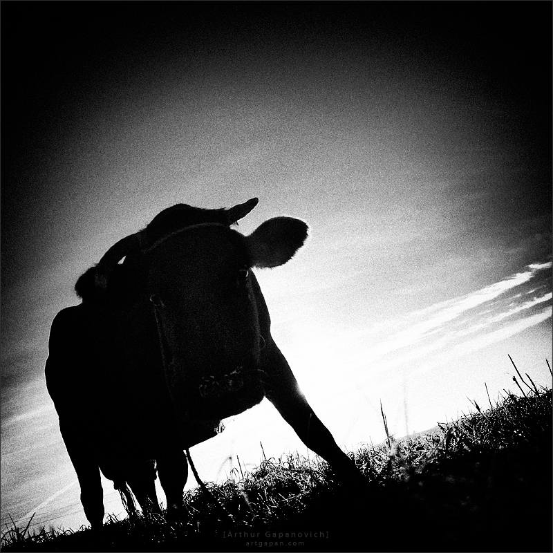 [ A S P I R A T I O N ] *2