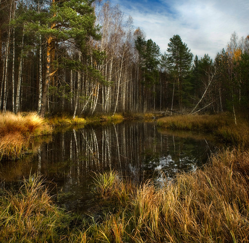 Черная Порза