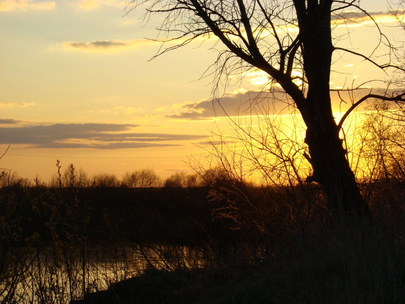 Трижды до захода солнца