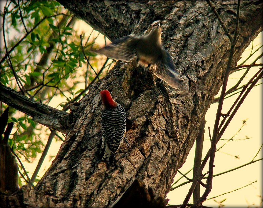 смена караула