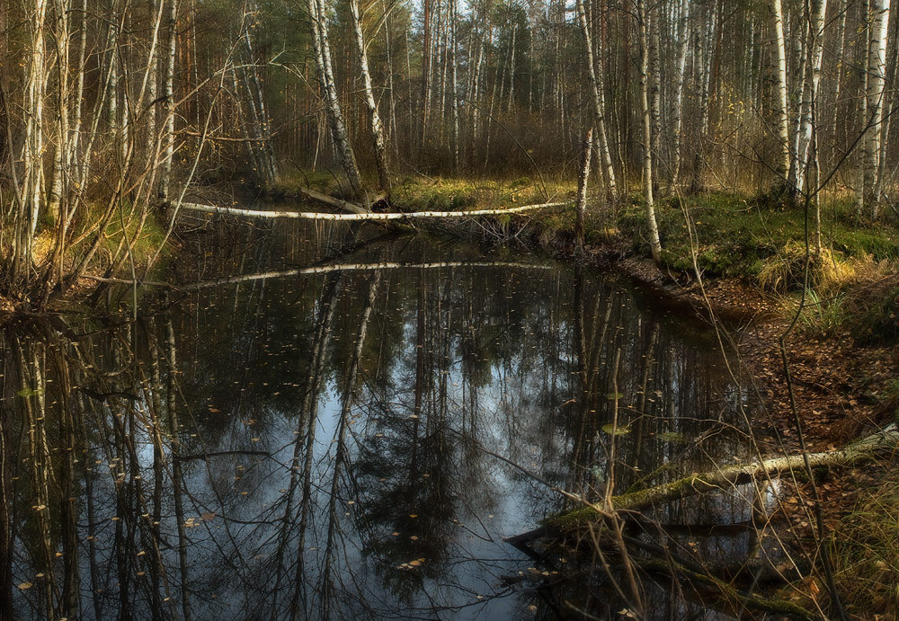 Погожий денек