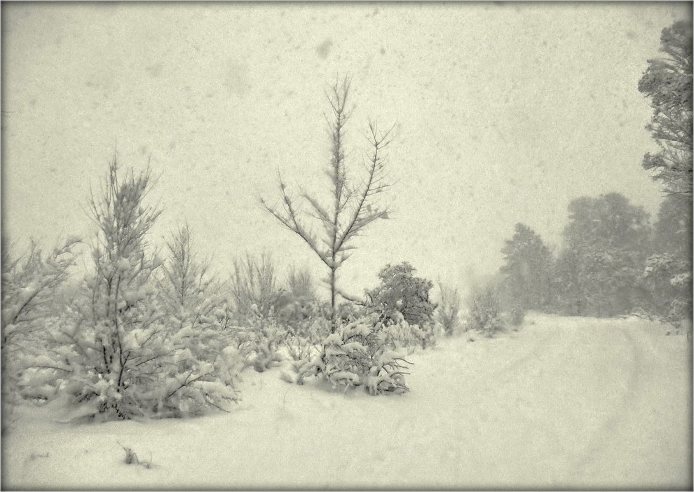 32-ая параллель ..3