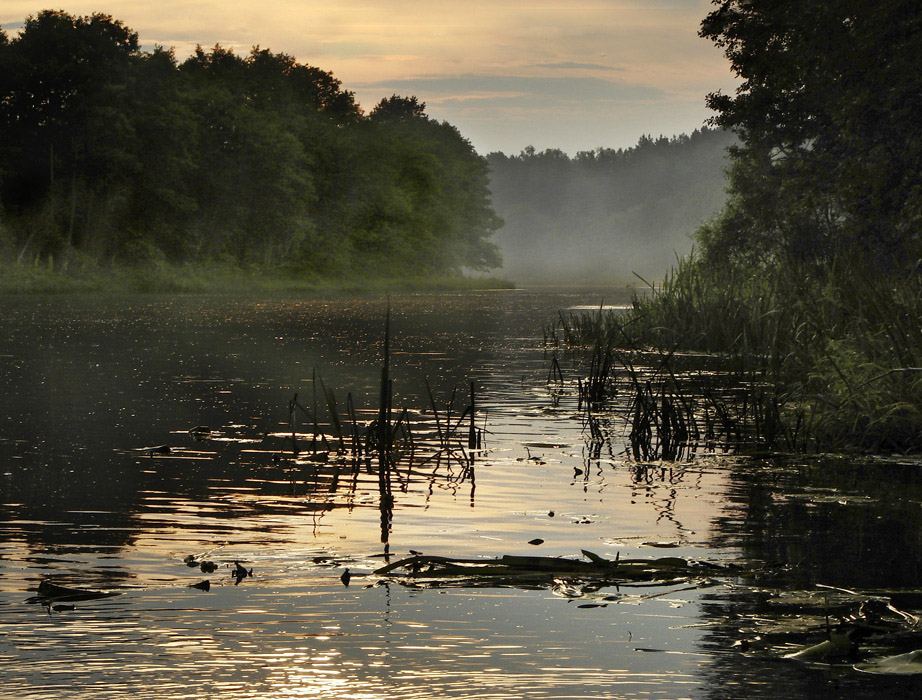 Вилейская дремота