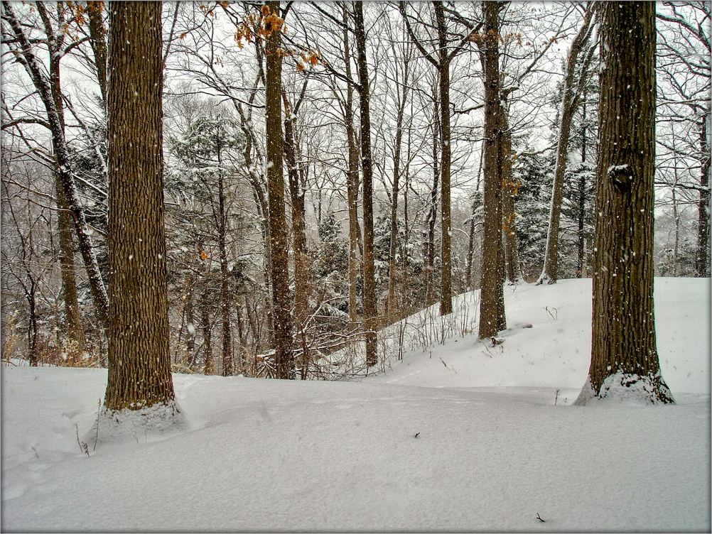 и падает снег...