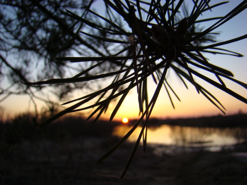 Первомайское