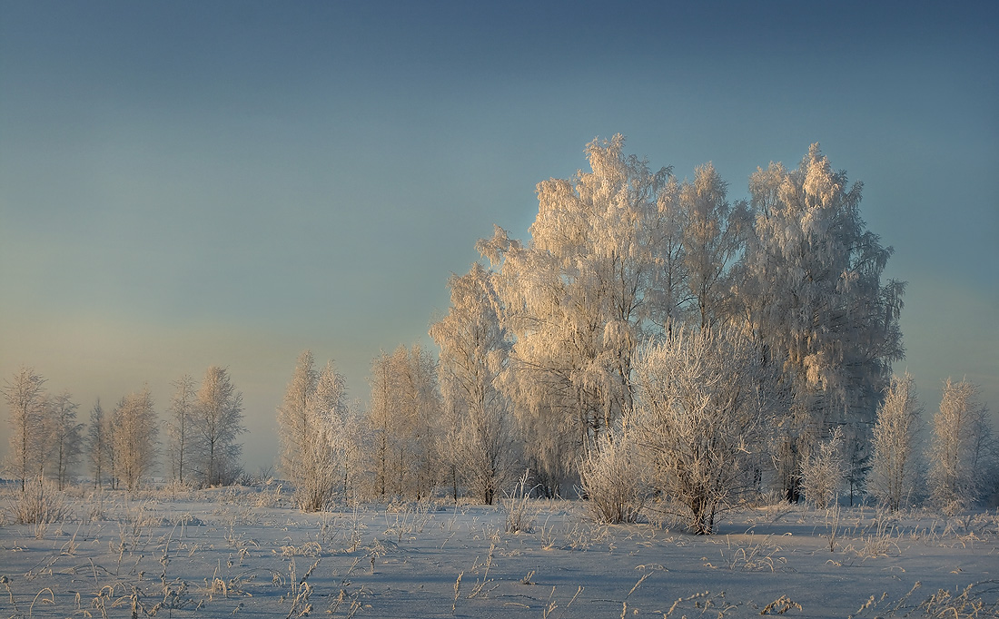 Морозное утро