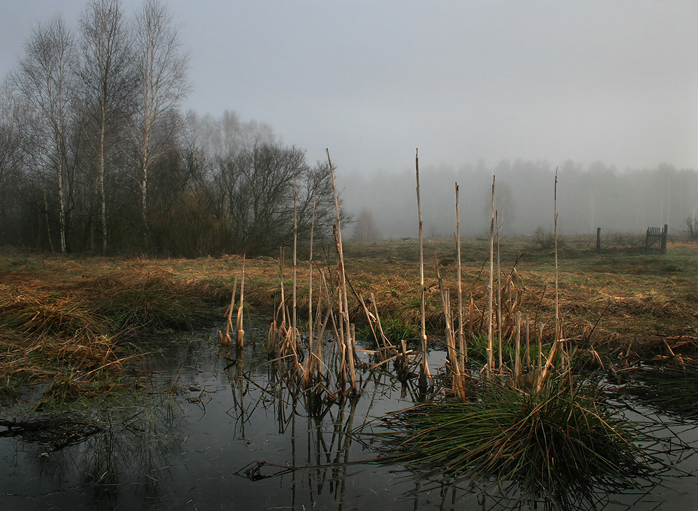 Холодное утро ранней весны