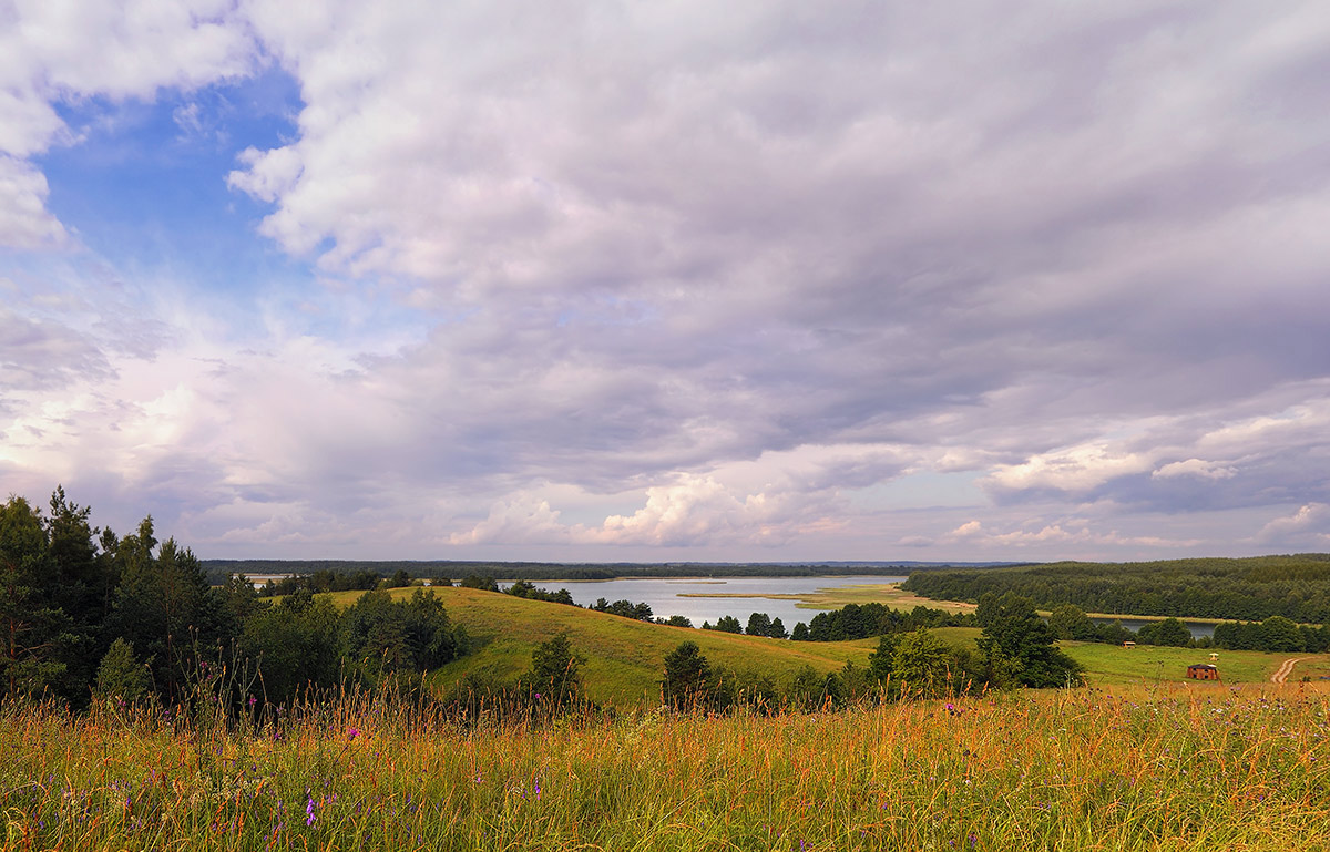 Середина  лета