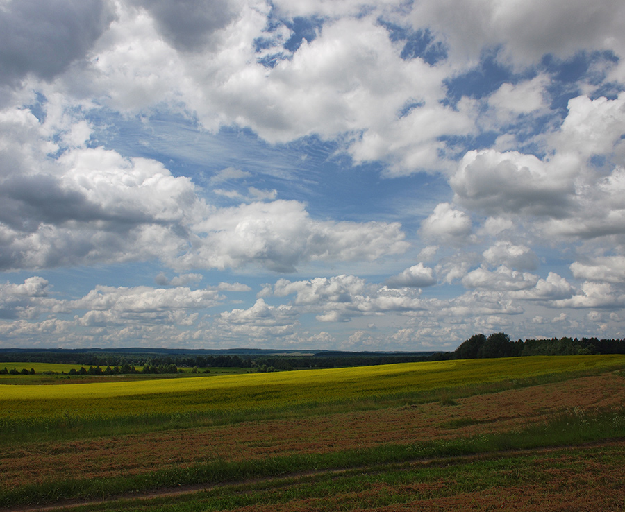 После  дождика