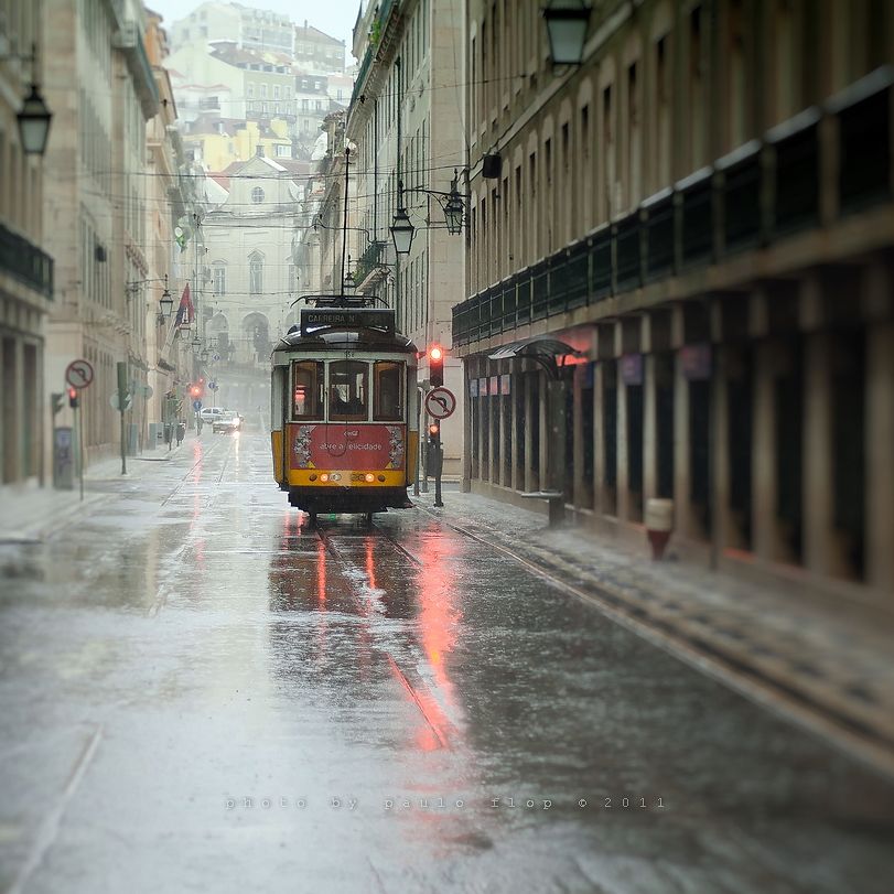 in Lisbon rain.