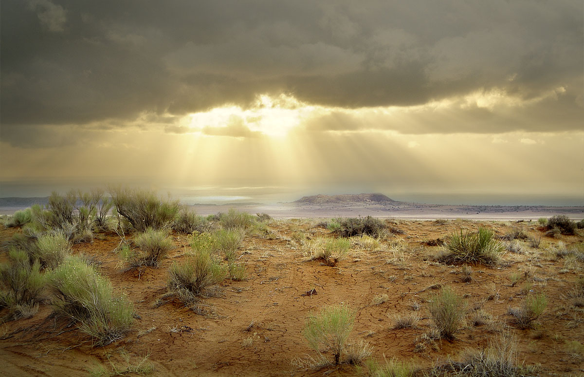 там в Америке