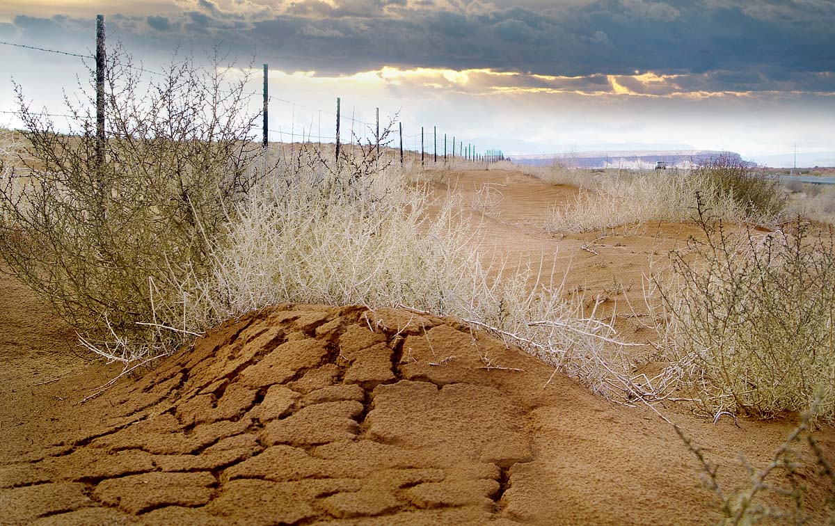 холмик придорожный
