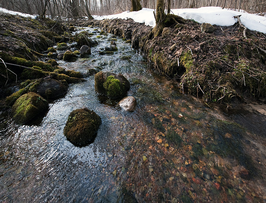 Журчат ручьи