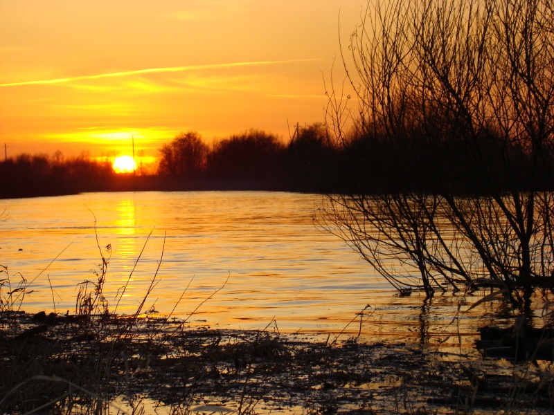 Тишь да гладь