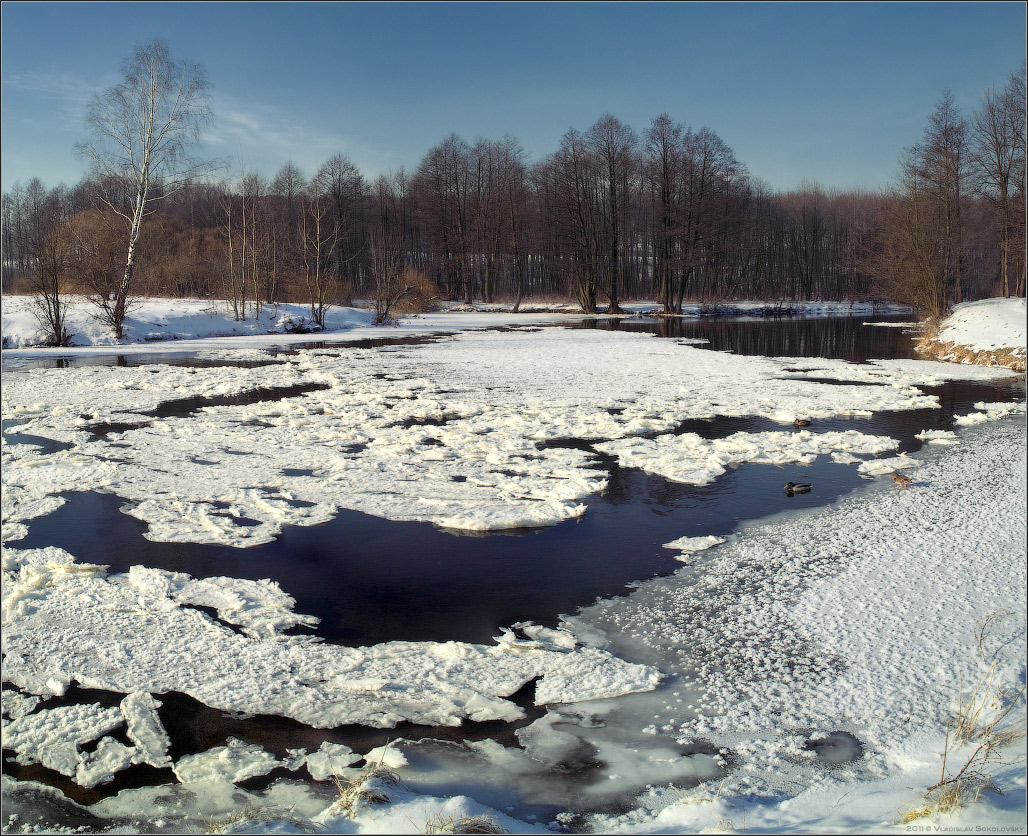 / Февральский пейзаж /