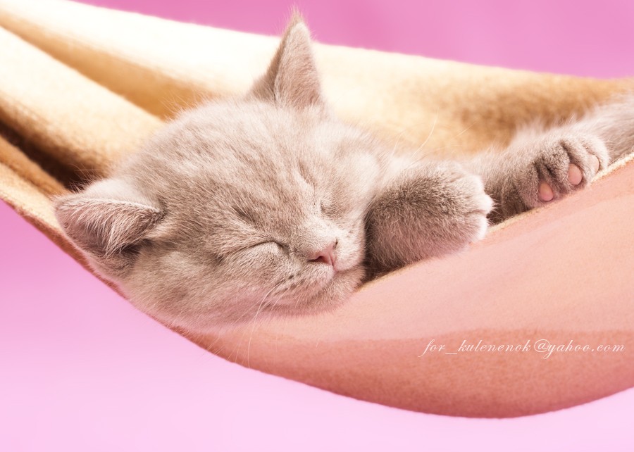 Про розовые сны....