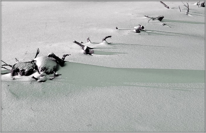 коль зелень снега...