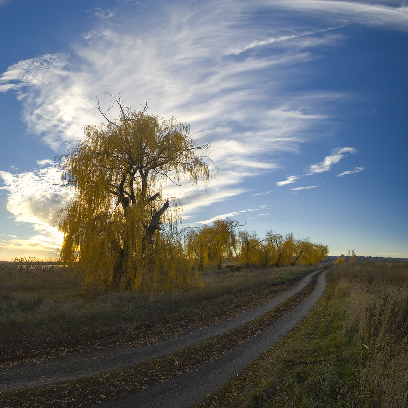 Осень В Квадрате