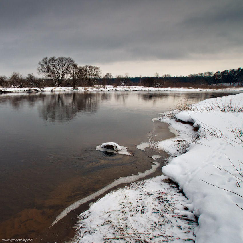 Вилии кривые