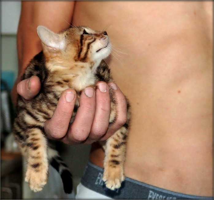 будем сниматься в ню?